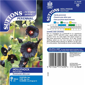 Hollyhock Black Knight